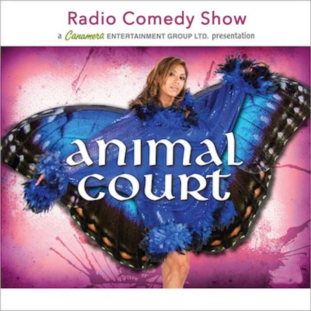 animal-court-cover